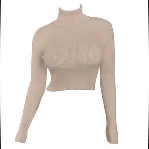 Basic ribbed turtleneck